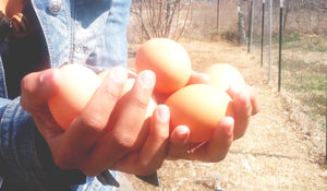 How to buy eggs zero waste in Atlanta?