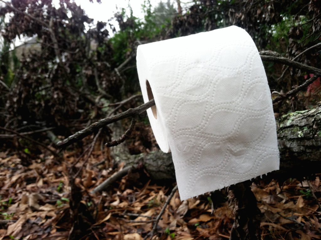 Yes I use toilet paper, here's why